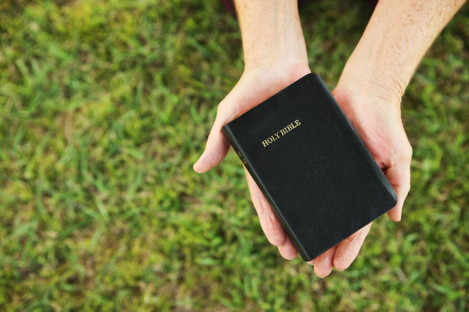 Offering
